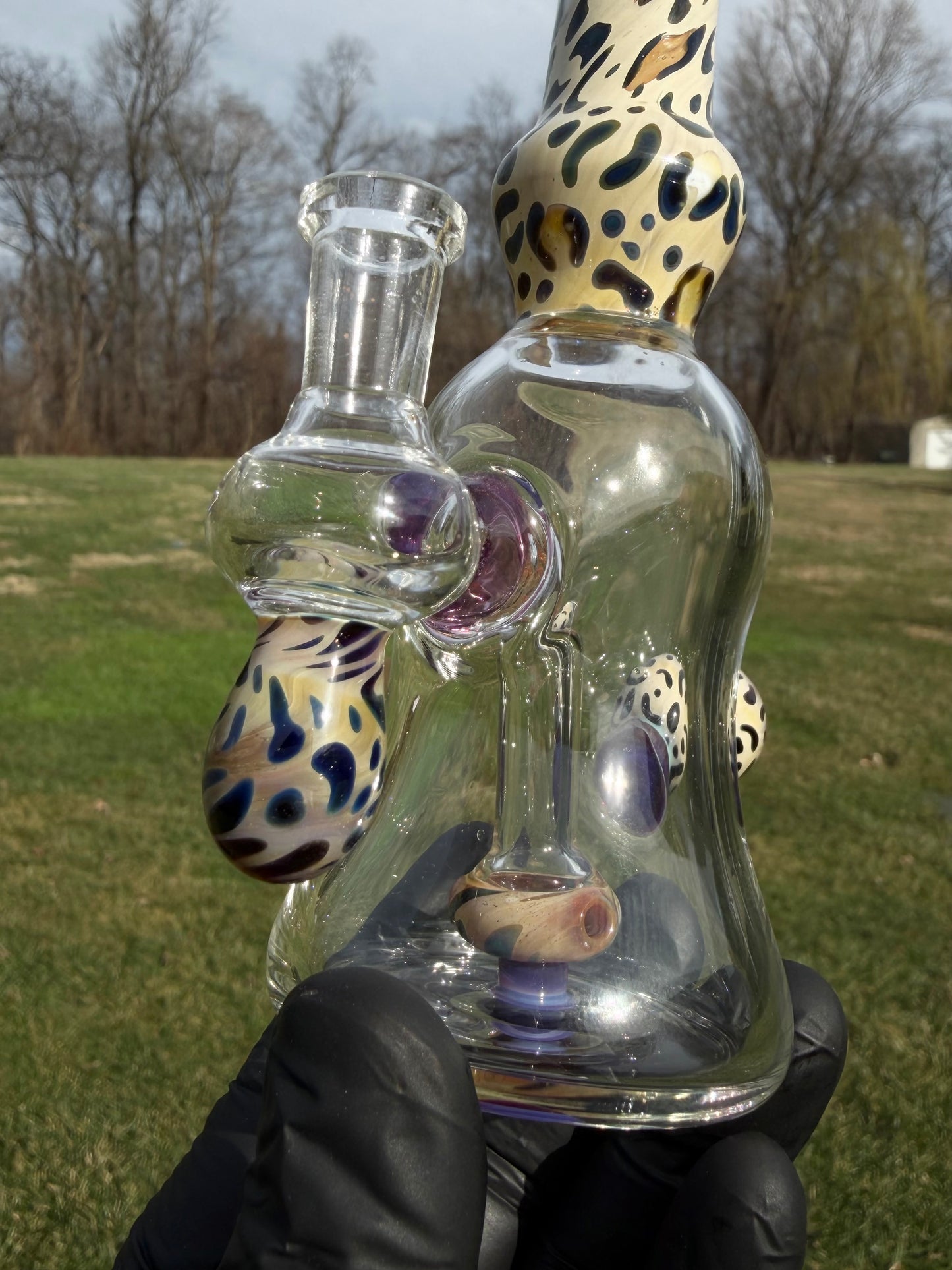 Royal Jelly Leopard Rig