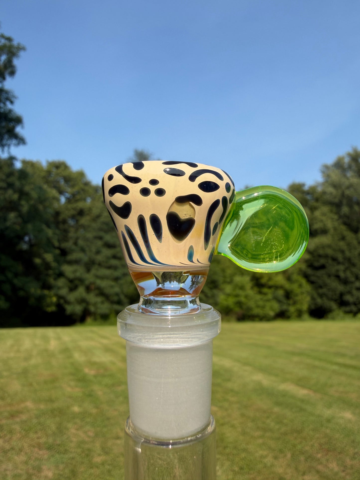 Ion UV Leopard Slide