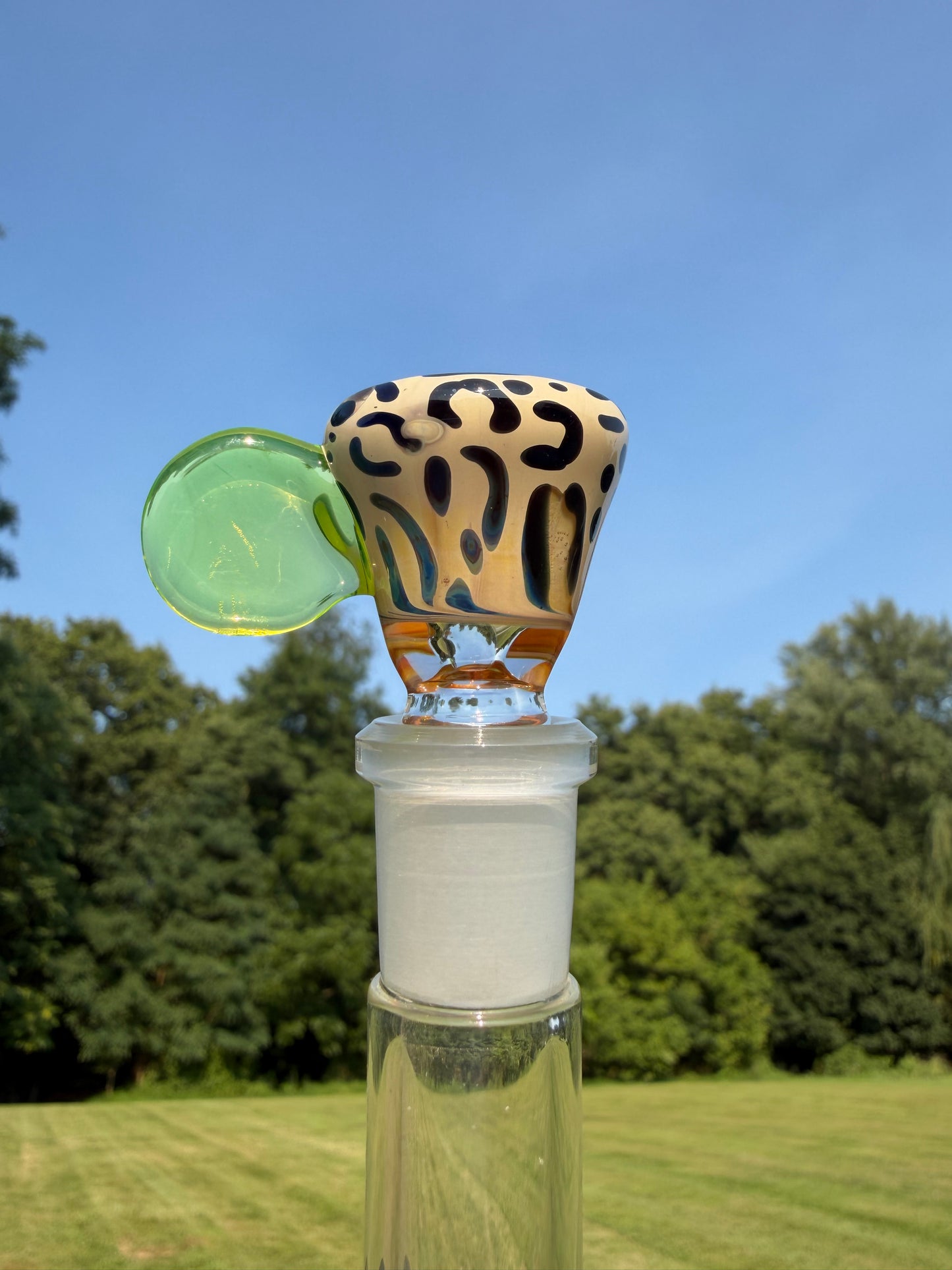 Ion UV Leopard Slide