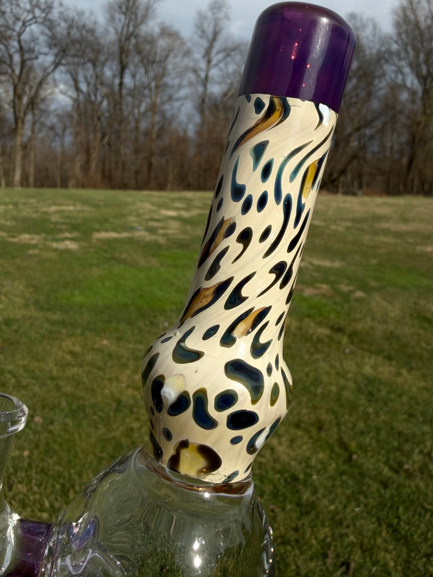 Royal Jelly Leopard Rig