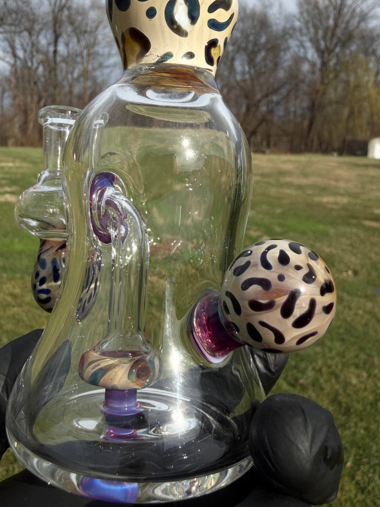 Royal Jelly Leopard Rig